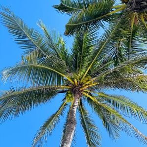 Meet your Posher, Mihaela